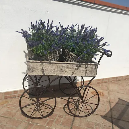 La Terrazza Konukevi 3*