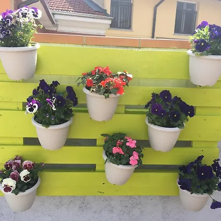 La Terrazza Konukevi 3*