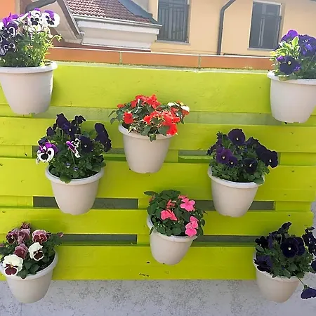 La Terrazza Gæstehus Rho