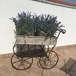 La Terrazza Гостевой дом 3*