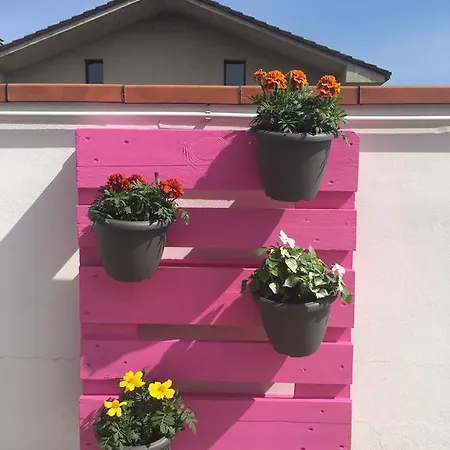 La Terrazza 3*